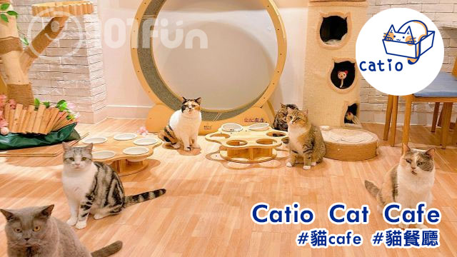 Catio Cat Cafe